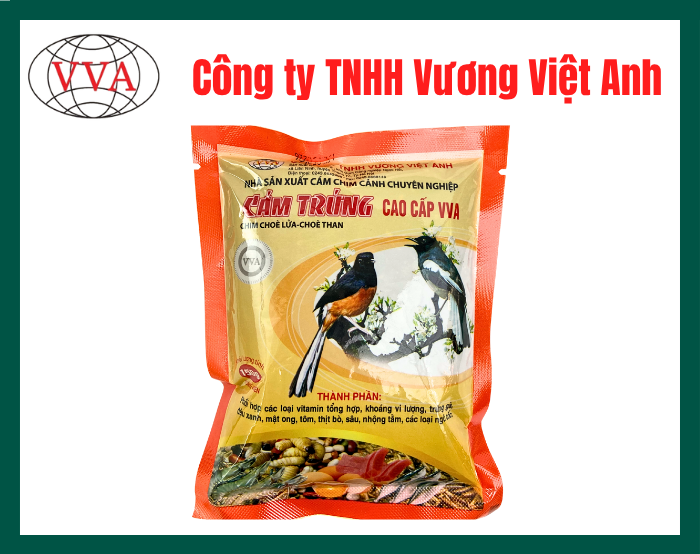 Cám trứng cao cấp VVA - Chim Chòe Lửa - Chòe Than